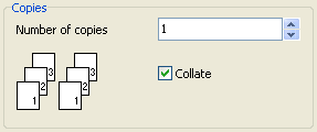 xReport Image